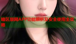 暗区禁网APP功能解析及安全使用全攻略