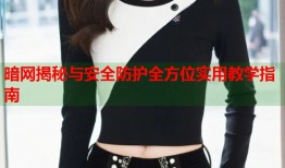 暗网揭秘与安全防护全方位实用教学指南