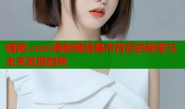 暗网.com揭秘网络黑市背后的秘密与未来发展趋势