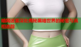 暗网迷雾深处揭秘黑暗世界的秘密与真相追踪
