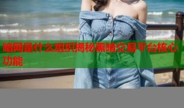 暗网是什么组织揭秘黑暗交易平台核心功能