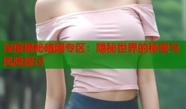 深度揭秘暗网专区：隐秘世界的秘密与风险探讨