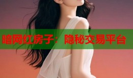 暗网红房子：隐秘交易平台