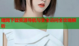 暗网下载资源导航与安全访问全攻略解析
