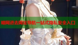 暗网进去网址导航一站式隐私安全入口