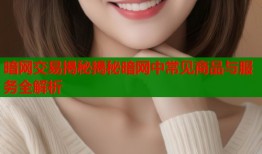 暗网交易揭秘揭秘暗网中常见商品与服务全解析