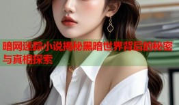 暗网迷踪小说揭秘黑暗世界背后的秘密与真相探索
