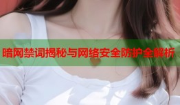 暗网禁词揭秘与网络安全防护全解析