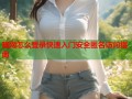 暗网怎么登录快速入门安全匿名访问指南