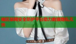 暗区禁网安全防护平台助力数据隐私无忧
