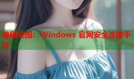 暗网突围：Windows 官网安全连接平台