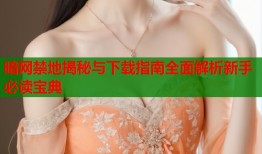 暗网禁地揭秘与下载指南全面解析新手必读宝典