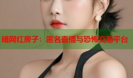 暗网红房子：匿名直播与恐怖交易平台