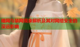 暗网与禁网现象解析及其对网络安全的深远影响