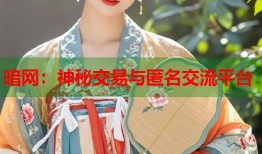 暗网：神秘交易与匿名交流平台