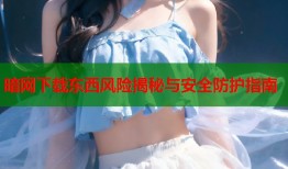 暗网下载东西风险揭秘与安全防护指南