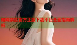 暗网禁区官方正版下载平台全面指南解析