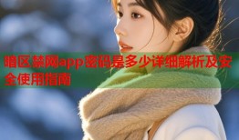 暗区禁网app密码是多少详细解析及安全使用指南