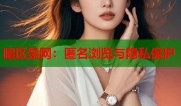 暗区禁网：匿名浏览与隐私保护