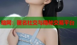 暗网：匿名社交与隐秘交易平台