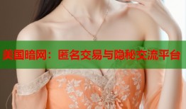 美国暗网：匿名交易与隐秘交流平台