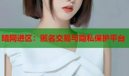 暗网进区：匿名交易与隐私保护平台