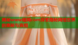 揭秘www暗网com探索隐秘网络世界的奥秘与真相