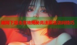 暗网下载全攻略揭秘高速匿名访问技巧