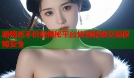 暗网杀手价格揭秘平台快速精准交易保障安全