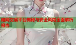 暗网交易平台揭秘与安全风险全面解析报告