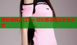 揭秘暗网入口Tor 轻松匿名浏览安全无忧