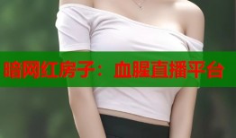 暗网红房子：血腥直播平台