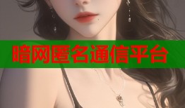 暗网匿名通信平台