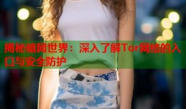 揭秘暗网世界：深入了解Tor网络的入口与安全防护