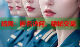 暗网：匿名访问，隐秘交易
