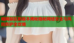 暗网禁区新版本揭秘隐秘网络安全与风险防护全攻略