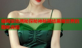 暗网禁地揭秘探秘神秘网络黑暗世界的隐秘真相