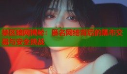 禁区暗网揭秘：匿名网络背后的黑市交易与安全挑战