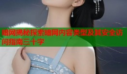 暗网揭秘探索暗网内容类型及其安全访问指南三十字