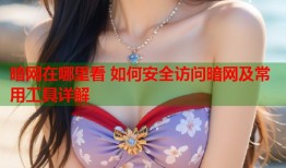 暗网在哪里看 如何安全访问暗网及常用工具详解