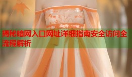 揭秘暗网入口网址详细指南安全访问全流程解析