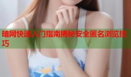 暗网快速入门指南揭秘安全匿名浏览技巧