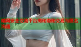 暗网安全交流平台揭秘隐秘交易与匿名沟通