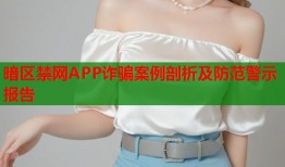 暗区禁网APP诈骗案例剖析及防范警示报告