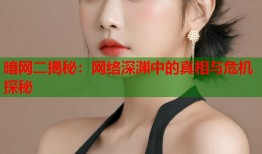 暗网二揭秘：网络深渊中的真相与危机探秘