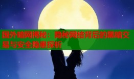 国外暗网揭秘：隐秘网络背后的黑暗交易与安全隐患探析