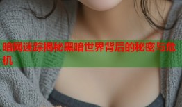 暗网迷踪揭秘黑暗世界背后的秘密与危机