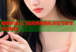 暗网快速入门指南揭秘隐私浏览与安全访问秘诀