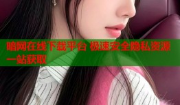 暗网在线下载平台 极速安全隐私资源一站获取