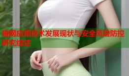 暗网应用技术发展现状与安全风险防控研究综述